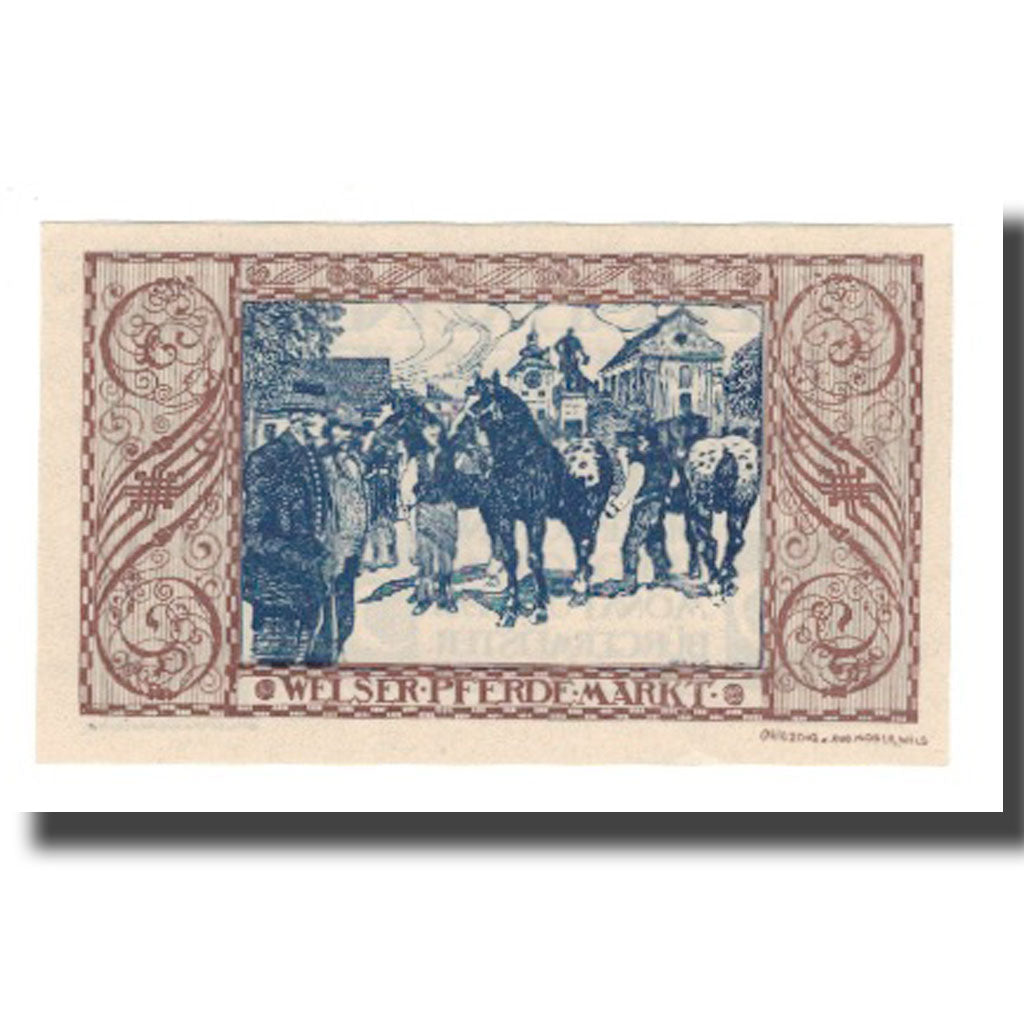 Geldschein, Österreich, Wels O.Ö. Stadtgemeinde, 50 Heller, personnage 2