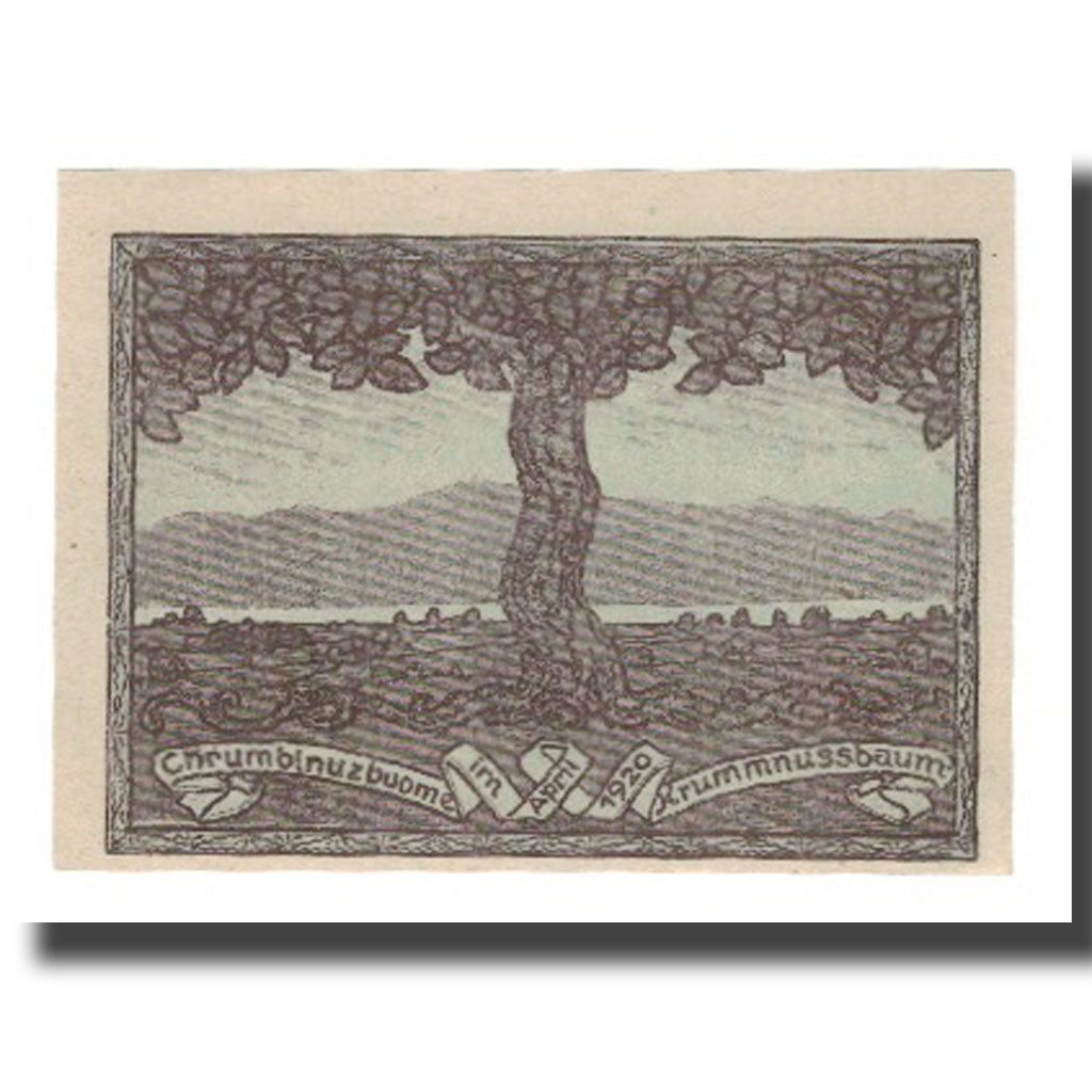Banknote, Austria, Krumnussbaum N.Ö. Gemeinde, 20 Heller, paysage, 1920