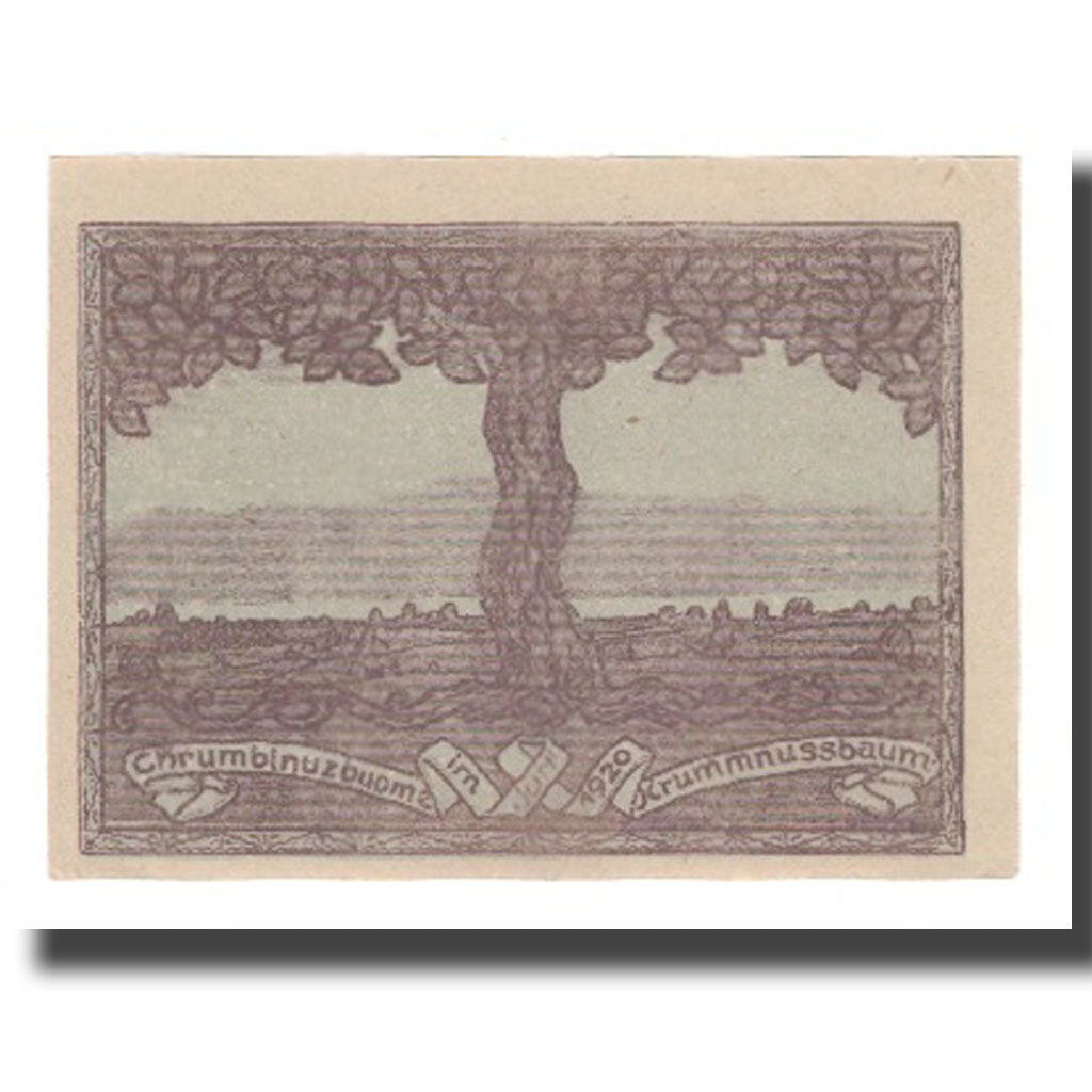Banknote, Austria, Krumnussbaum N.Ö. Gemeinde, 20 Heller, paysage 1, 1920