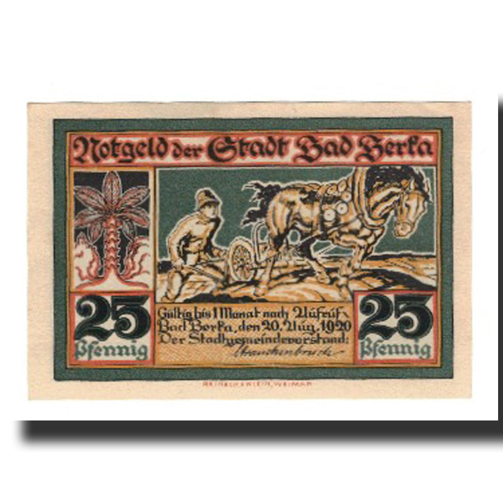 Banconote, Germania, Berka, Bad Stadt, 25 Pfennig, Photographie, 1920