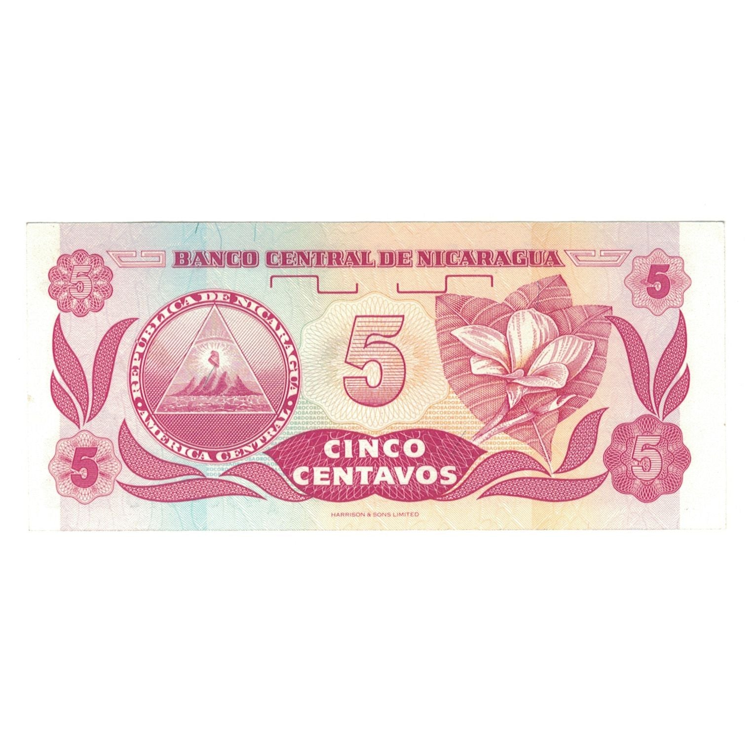 Biljet, Nicaragua, 5 Centavos, Undated (1991), KM:168, SPL