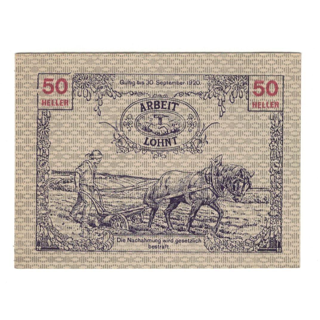 Banknote, Austria, Tausendblum N.Ö. Gemeinde, 50 Heller, paysan, 1920