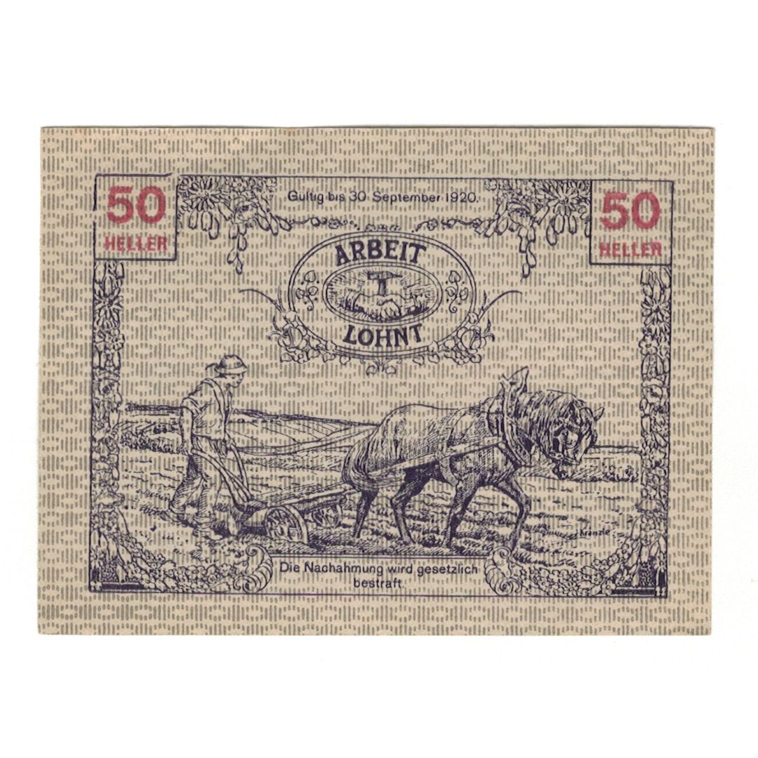 Banknote, Austria, Tausendblum N.Ö. Gemeinde, 50 Heller, Paysan 1, 1920