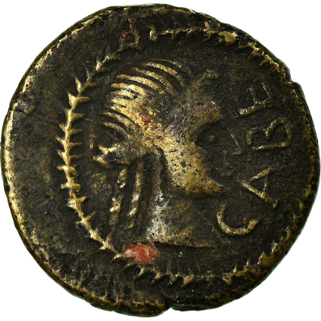 Cabellio, Bronze Æ, Bronze, EF(40-45), Latour:2572