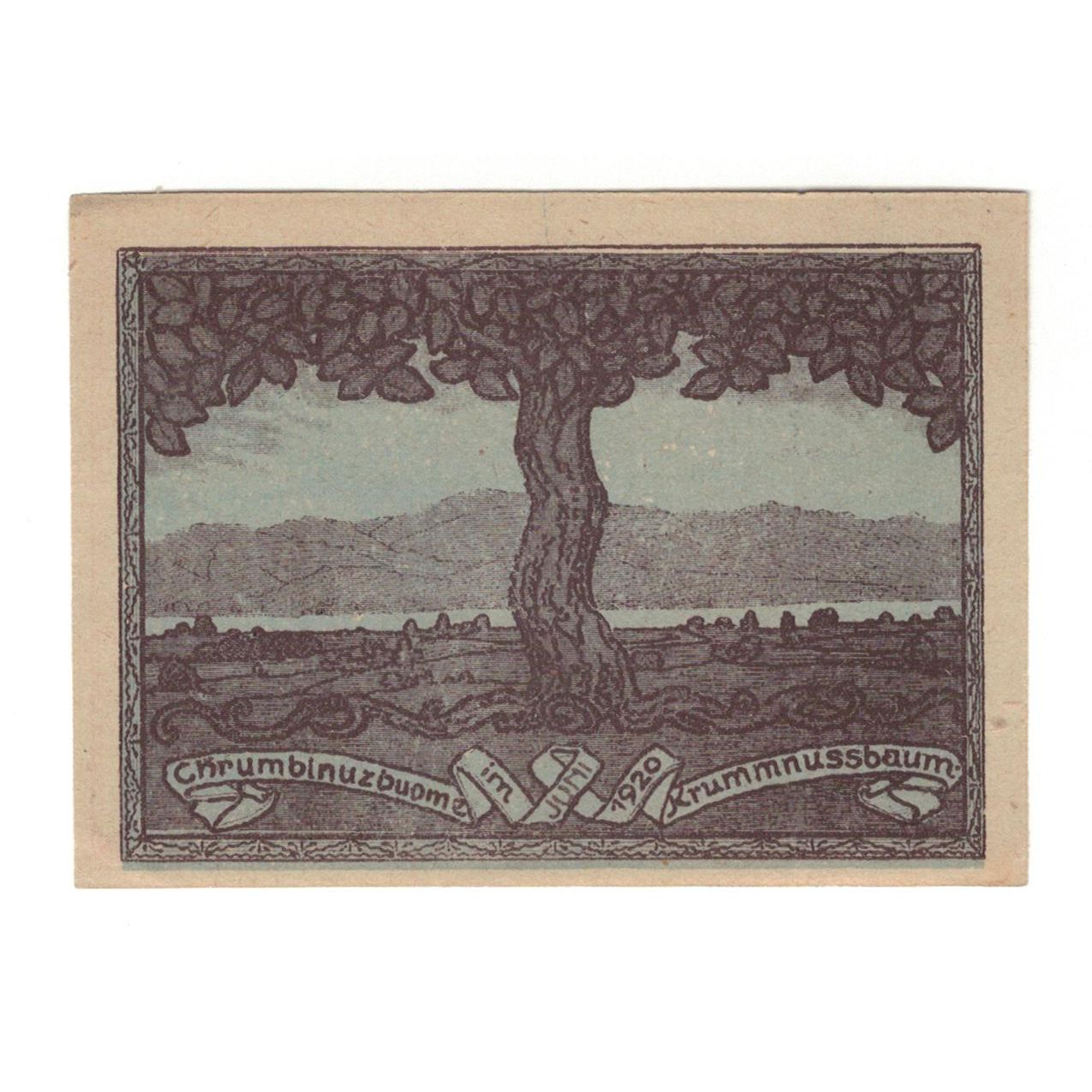 Geldschein, Österreich, Krumnussbaum N.Ö. Gemeinde, 20 Heller, paysage, 1920