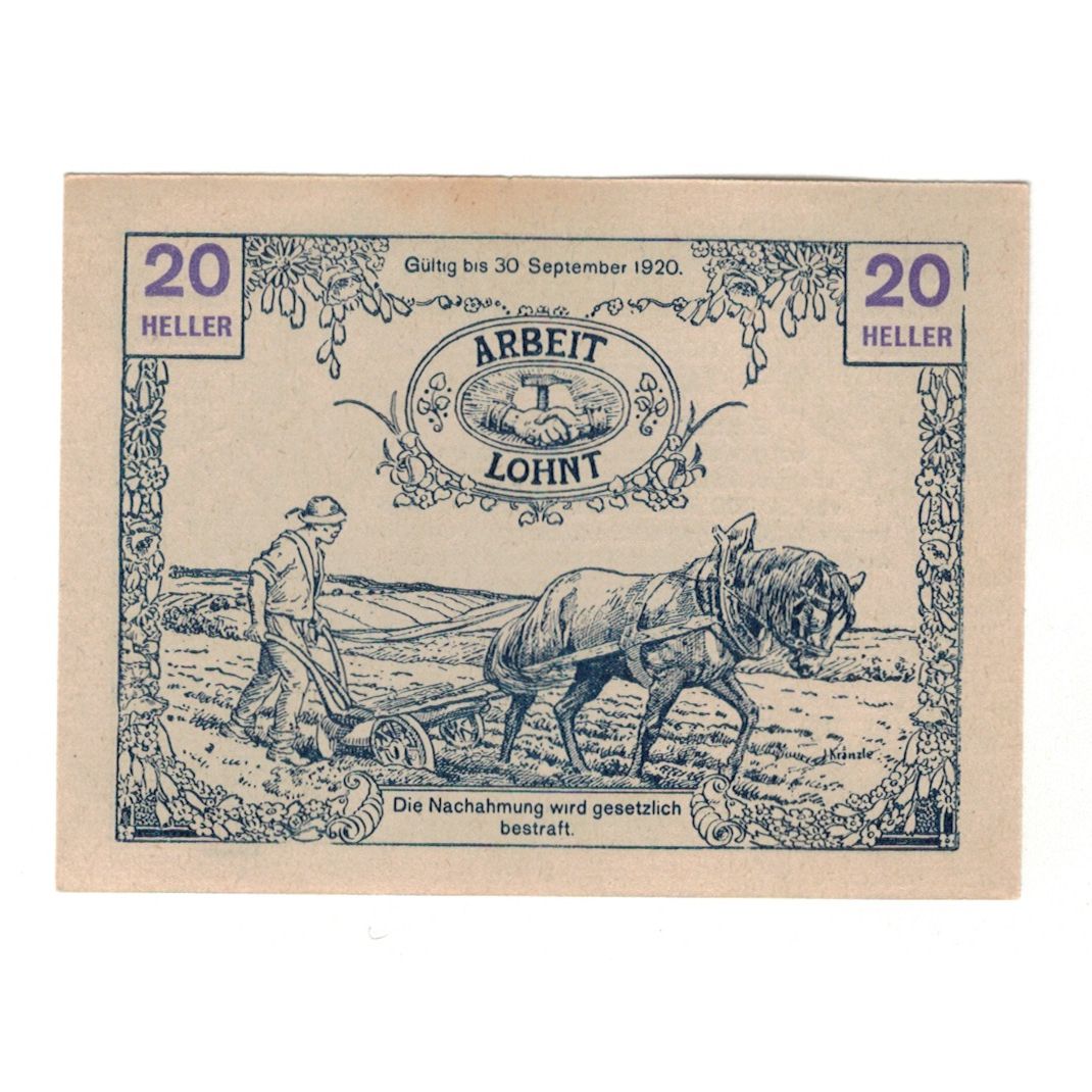 Geldschein, Österreich, Tausendblum N.Ö. Gemeinde, 20 Heller, agriculteur