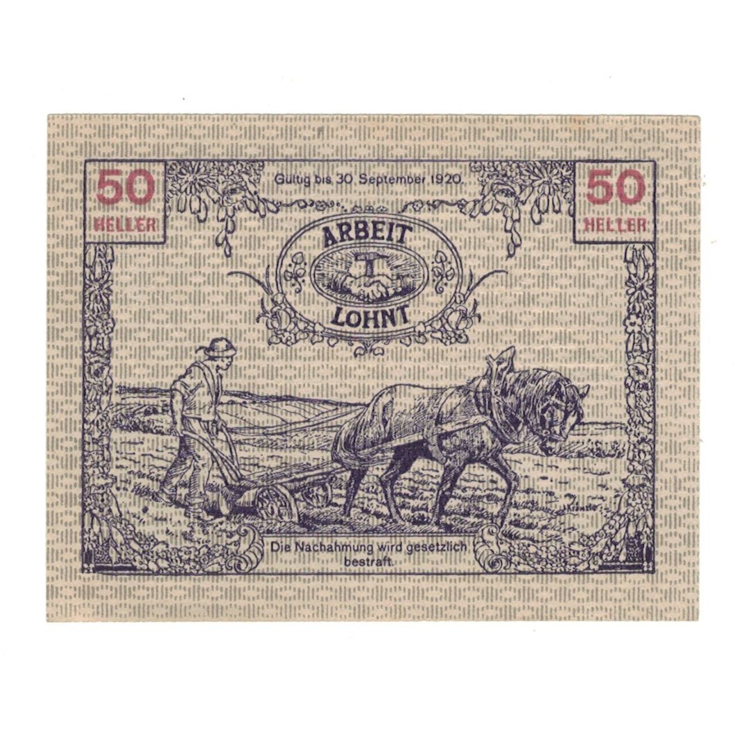 Geldschein, Österreich, Tausendblum N.Ö. Gemeinde, 50 Heller, agriculteur