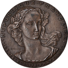 Mauritania, medalla, Conseil de la République, Yvon Razac, Sénateur, 1952