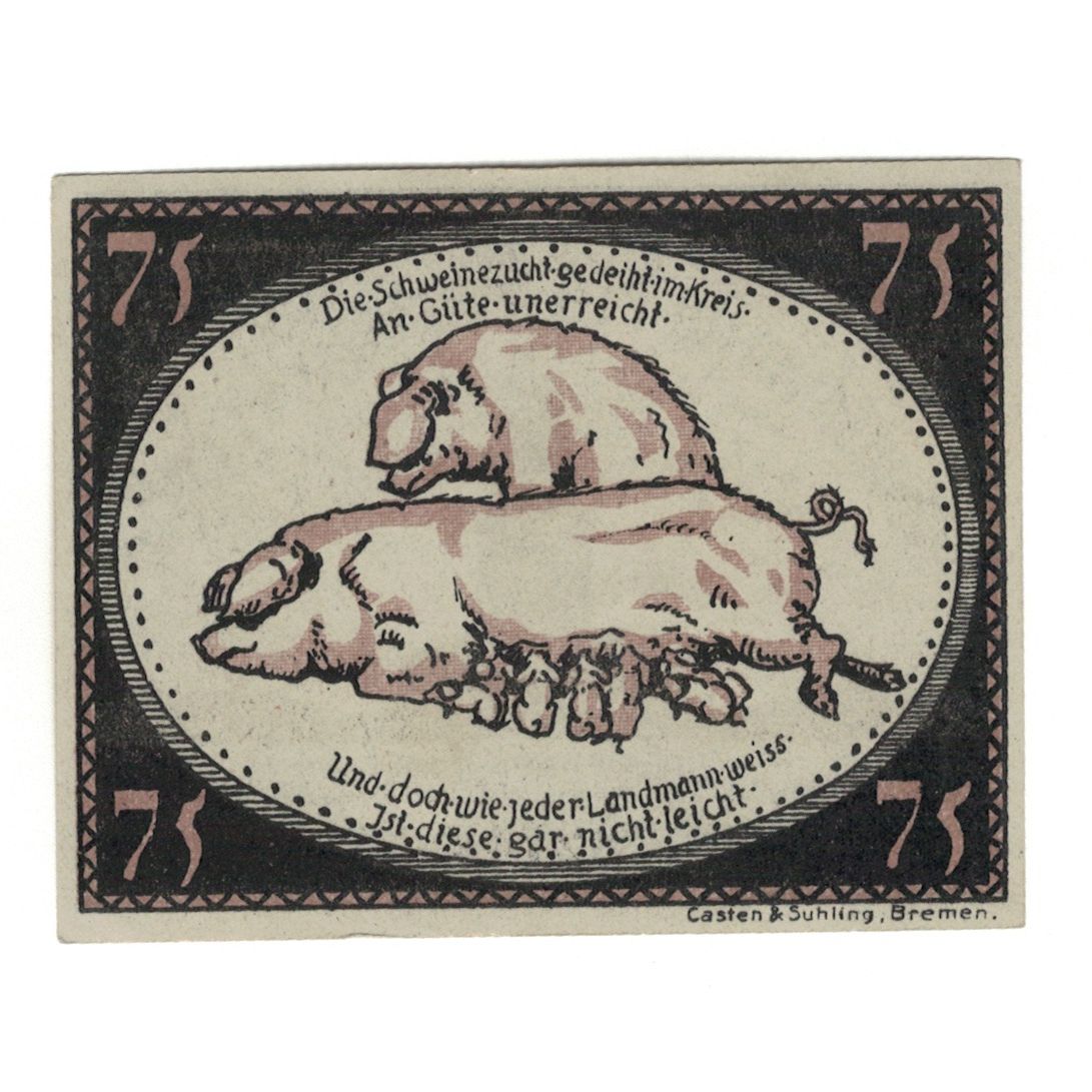 Biljet, Duitsland, Diepholz Kreis, 75 Pfennig, cochon, 1921, 1921-08-15, SUP