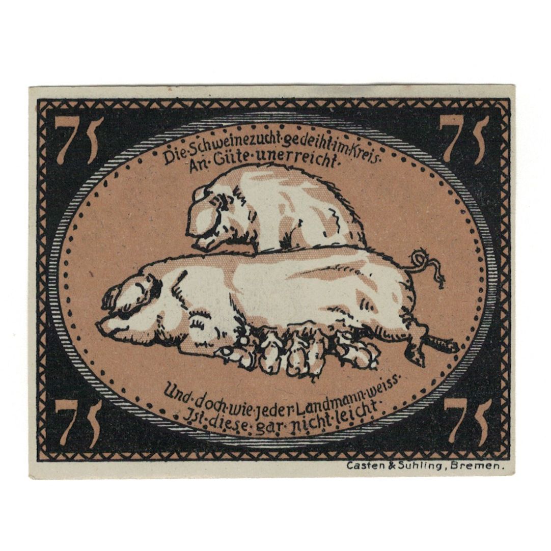 Banknote, Germany, Diepholz Kreis, 75 Pfennig, Cochon 3, 1921, 1921-08-15