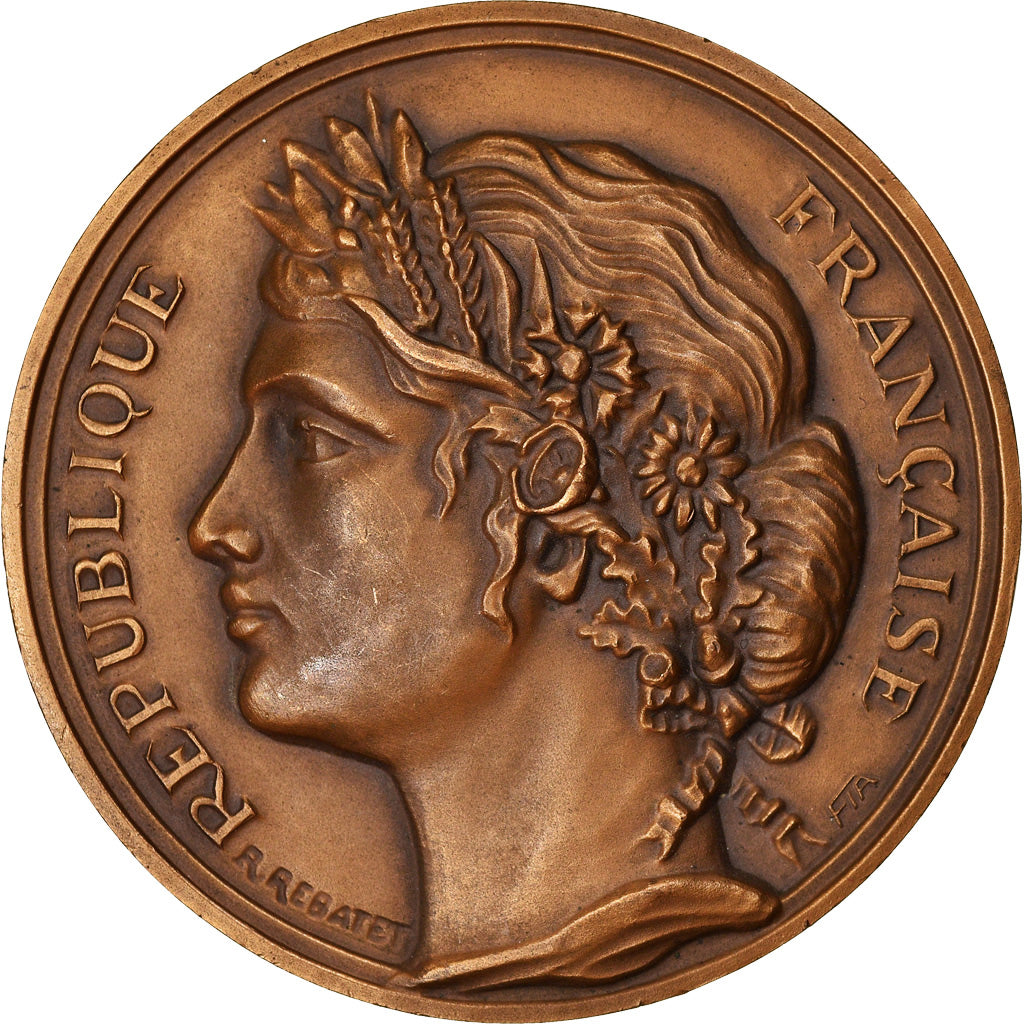 France, Médaille, Charles Hernu, Ministre de la Défense, Dardilly, Politics