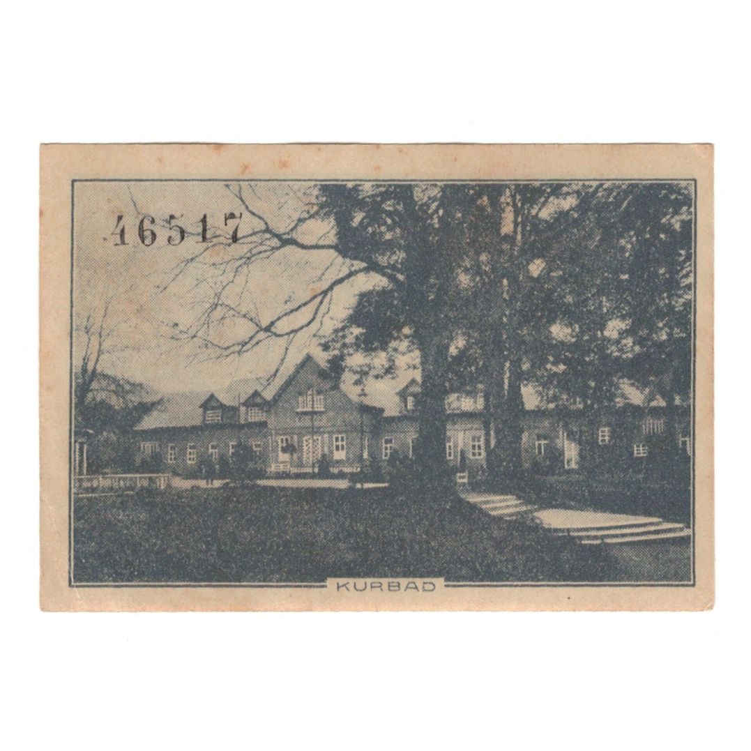 Banknot, Niemcy, Berka Bad Stadt, 25 Pfennig, cheval, 1920, 1920-08-20
