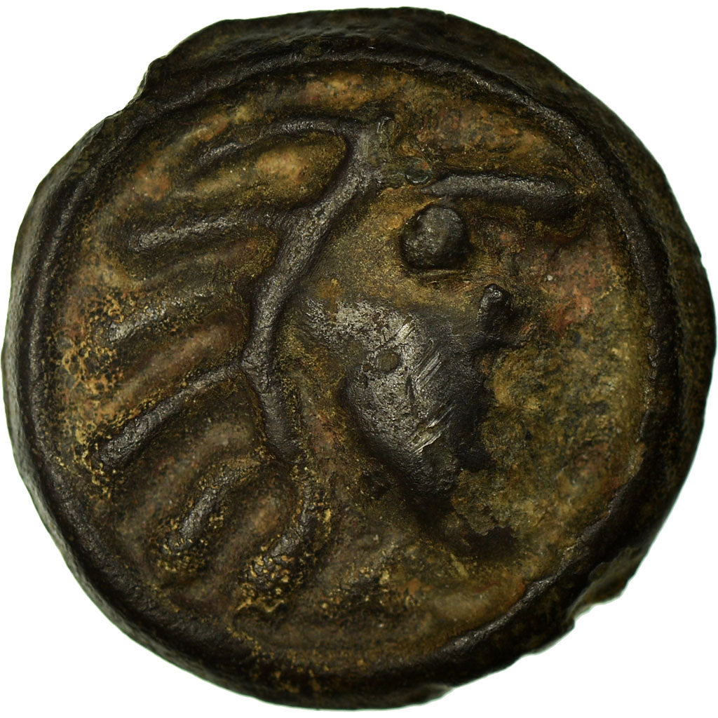 Senones, Potin, Potin, AU(50-53), Latour:7417 var