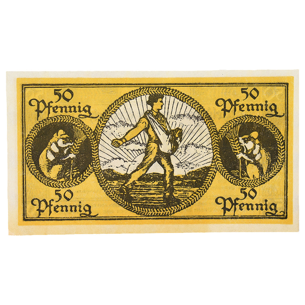 Banconote, Germania, Erbach im Odenwald Kreis, 50 Pfennig, personnage, 1919