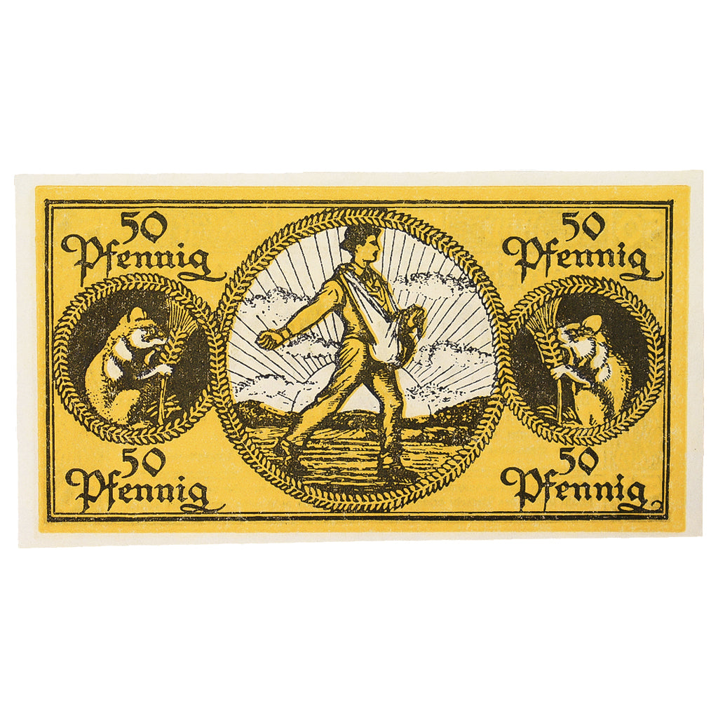 Banconote, Germania, Erbach im Odenwald Kreis, 50 Pfennig, personnage 1, 1919