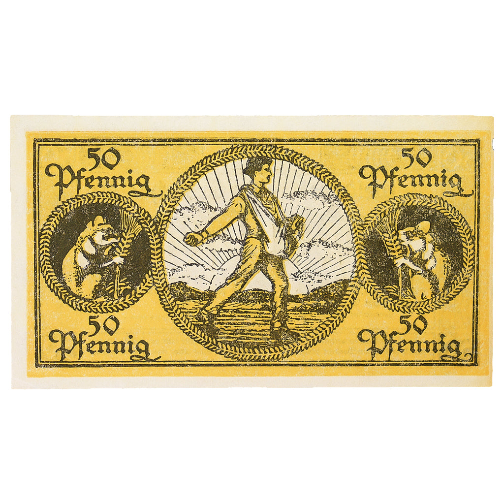 Banconote, Germania, Erbach im Odenwald Kreis, 50 Pfennig, personnage 2, 1919