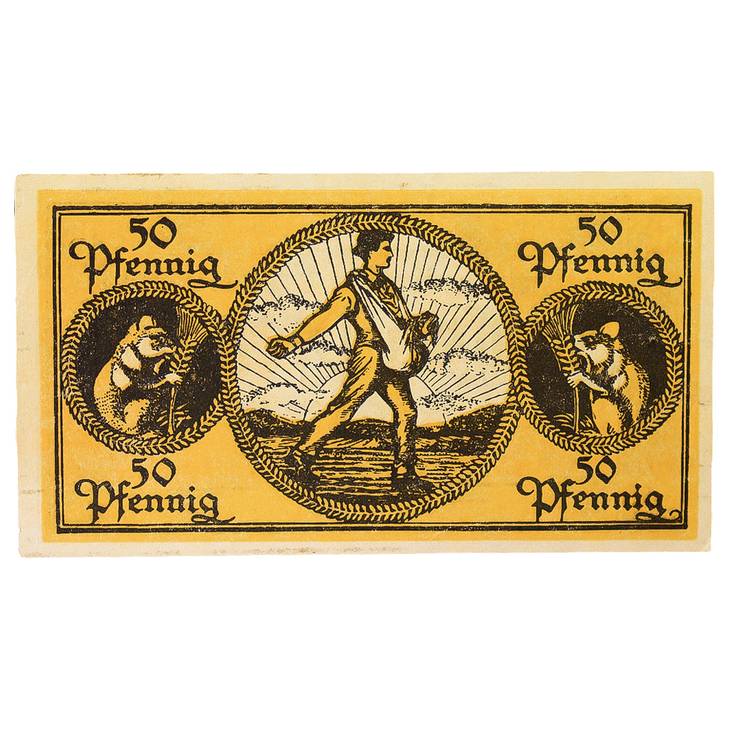 Banconote, Germania, Erbach im Odenwald Kreis, 50 Pfennig, personnage 3, 1919