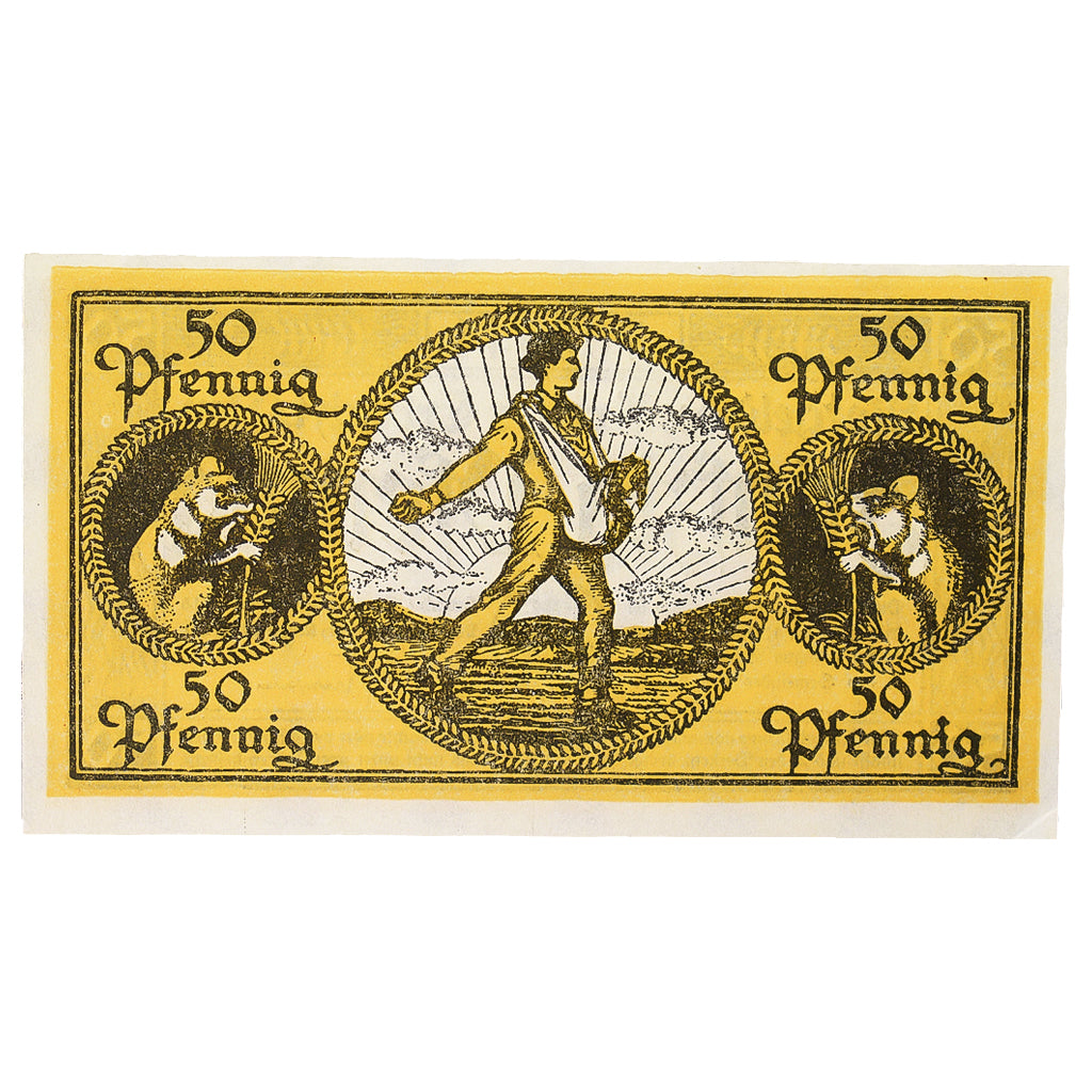 Geldschein, Deutschland, Erbach im Odenwald Kreis, 50 Pfennig, personnage 4