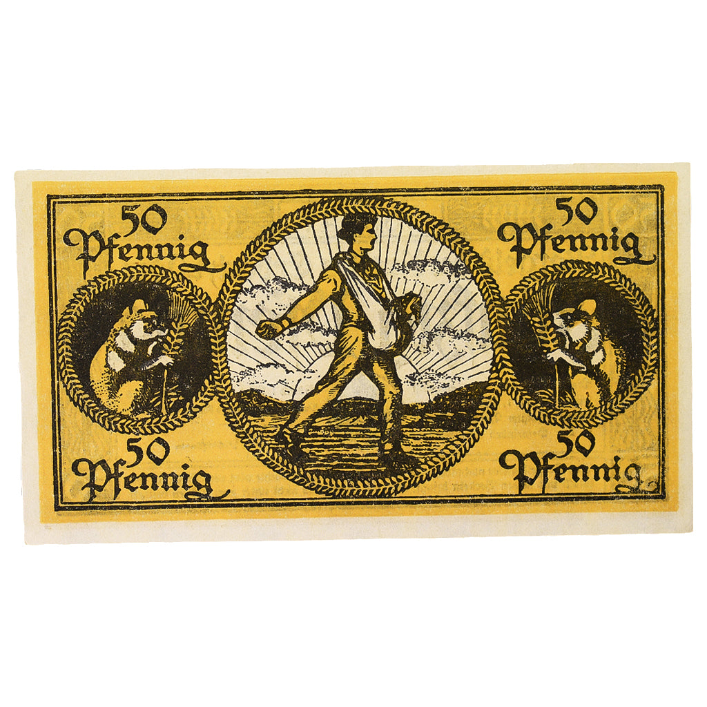 Geldschein, Deutschland, Erbach im Odenwald Kreis, 50 Pfennig, personnage 5