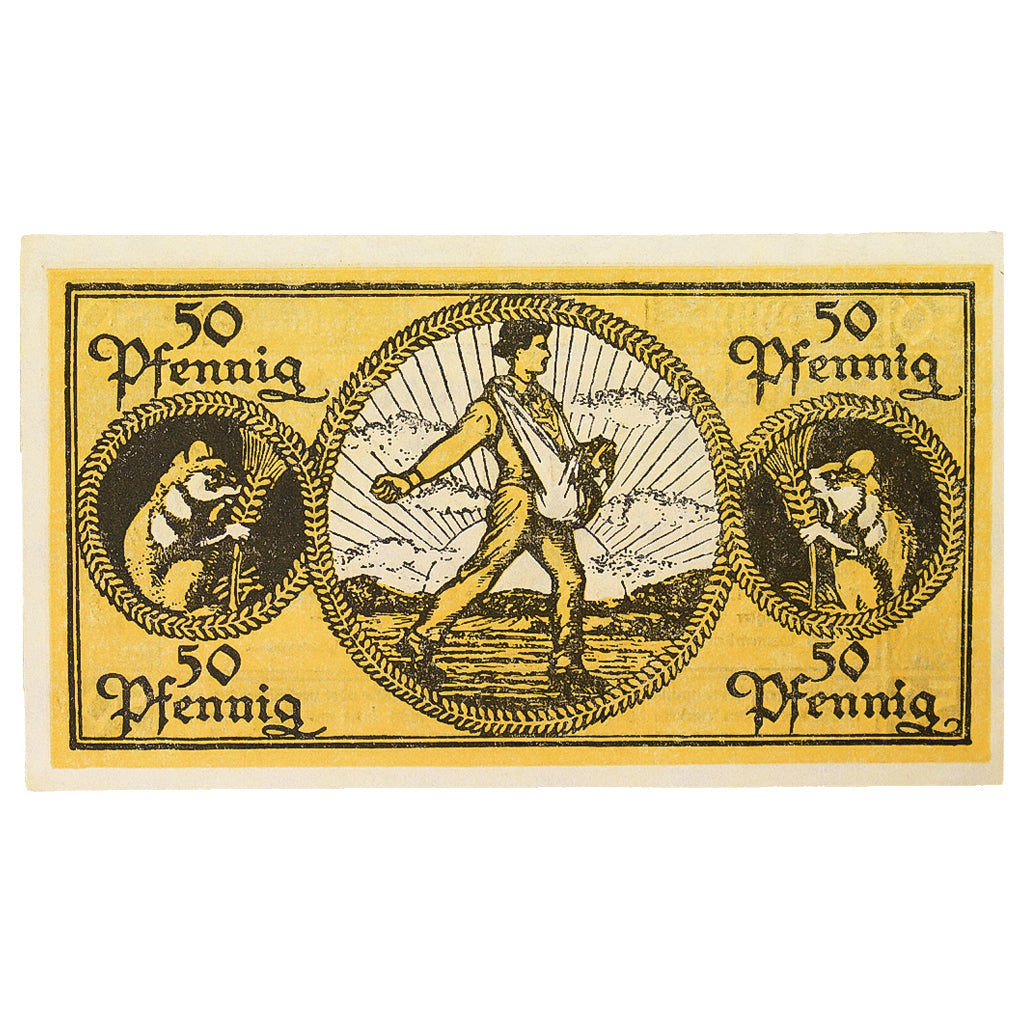 Banconote, Germania, Erbach im Odenwald Kreis, 50 Pfennig, personnage 6, 1919