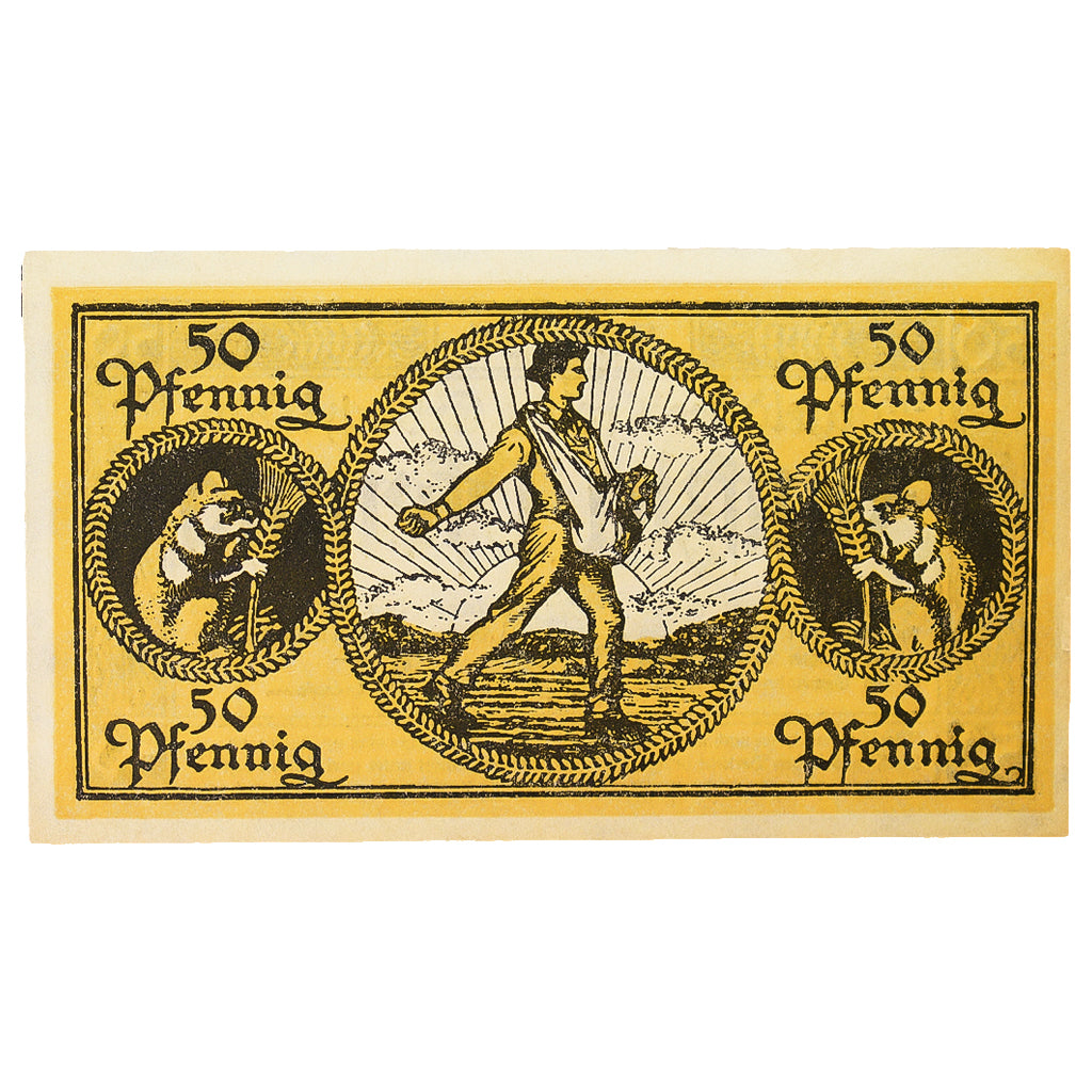 Banconote, Germania, Erbach im Odenwald Kreis, 50 Pfennig, personnage 7, 1919