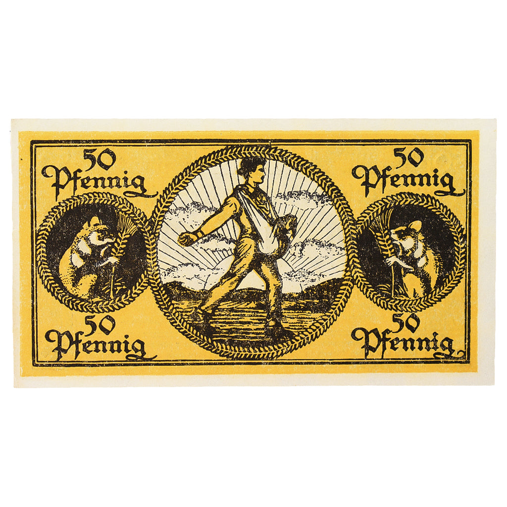 Banconote, Germania, Erbach im Odenwald Kreis, 50 Pfennig, personnage 8, 1919