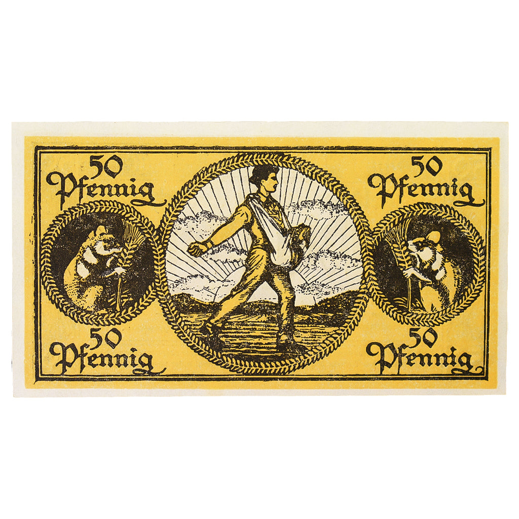 Banconote, Germania, Erbach im Odenwald Kreis, 50 Pfennig, personnage 9, 1919
