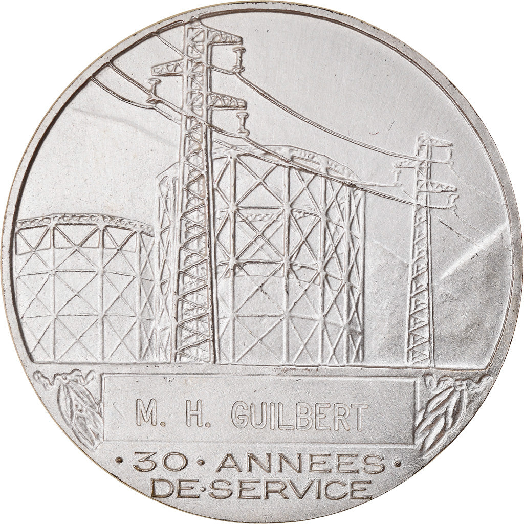 Frankrijk, Medaille, Électricité de France et gaz de France, Business &