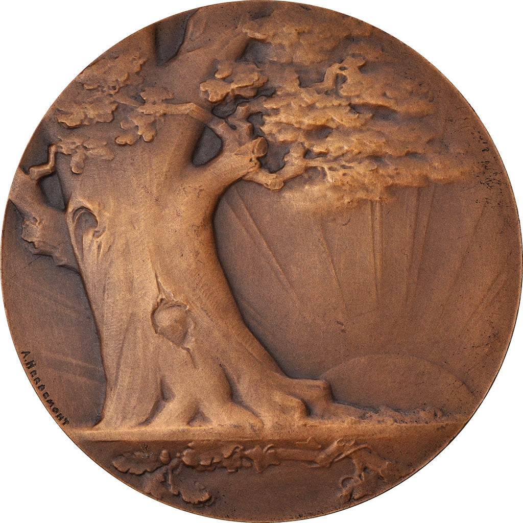 France, Médaille, Education, Société d'Enseignement Moderne, Albert