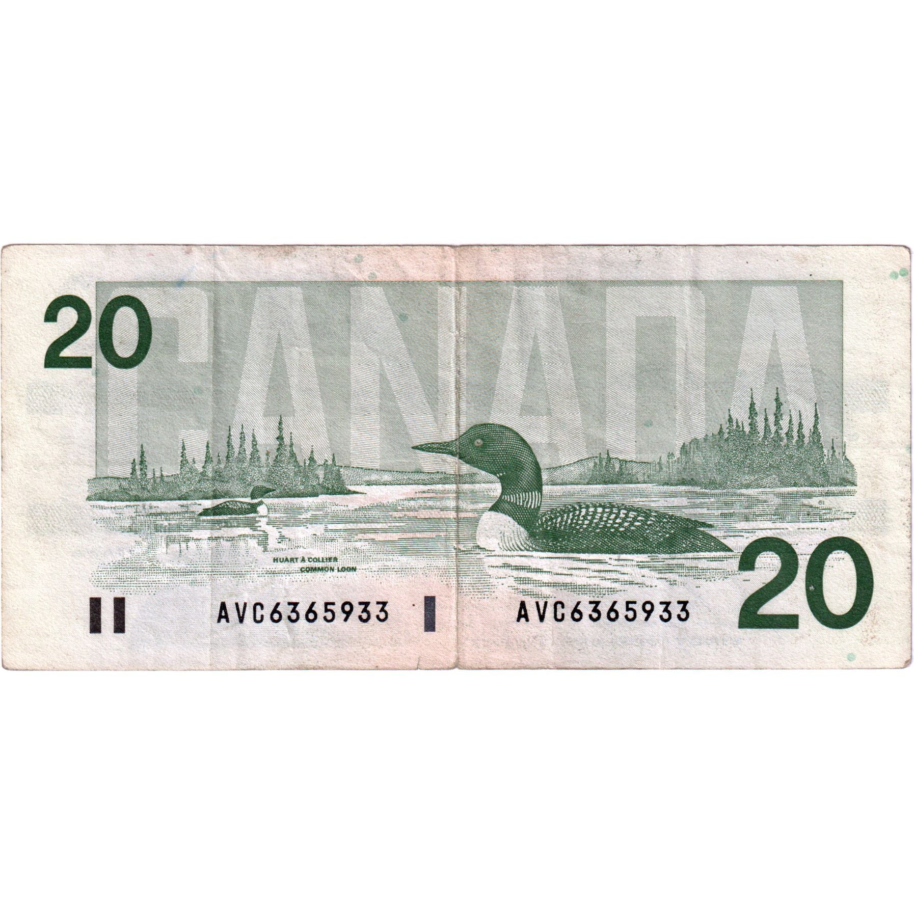 Banknote, Canada, 20 Dollars, 1991, KM:97b, EF(40-45)