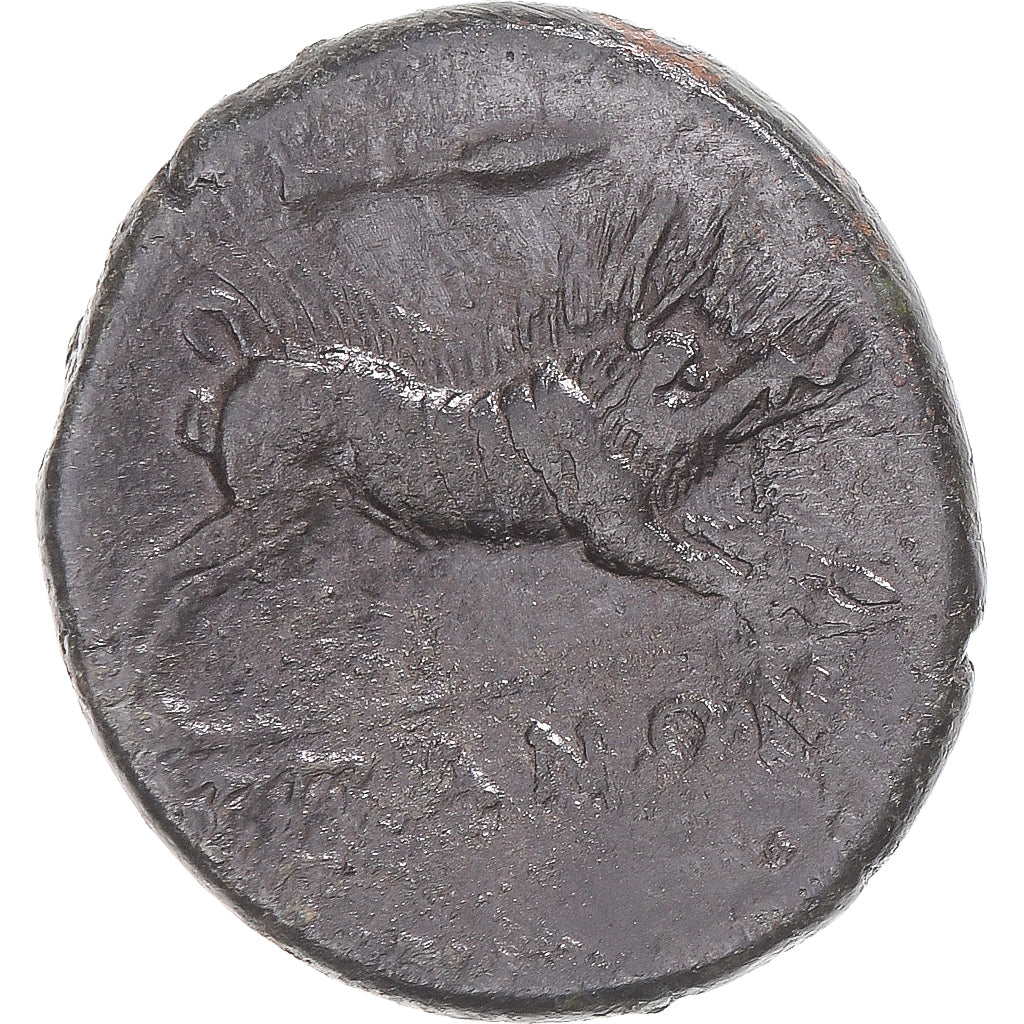 Coin, Apulia, Æ, 325-275 BC, Arpi, EF(40-45), Bronze, HN Italy:642