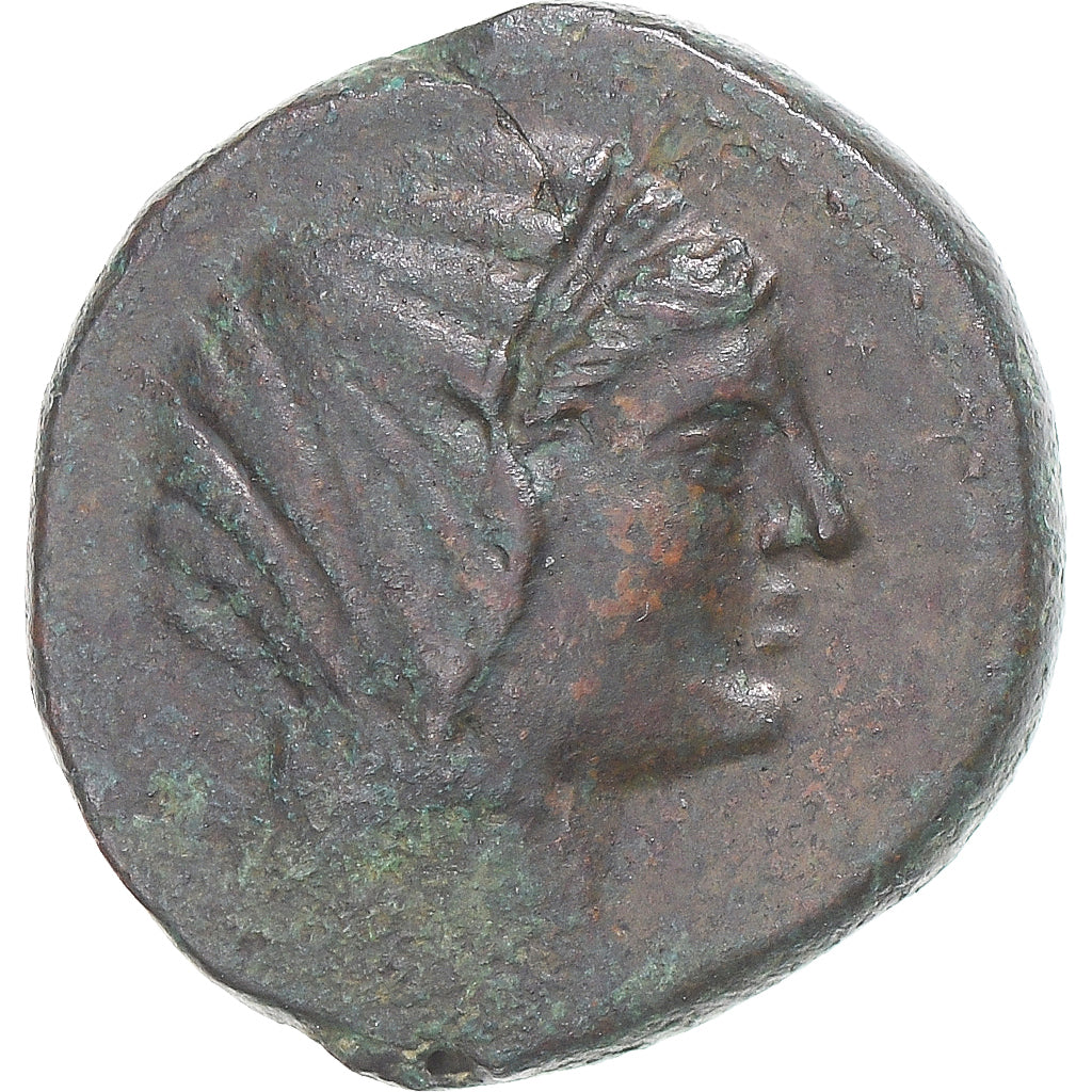 Moeda, Bruttium, Æ, late 3rd century BC, Petelia, EF(40-45), Bronze, HN