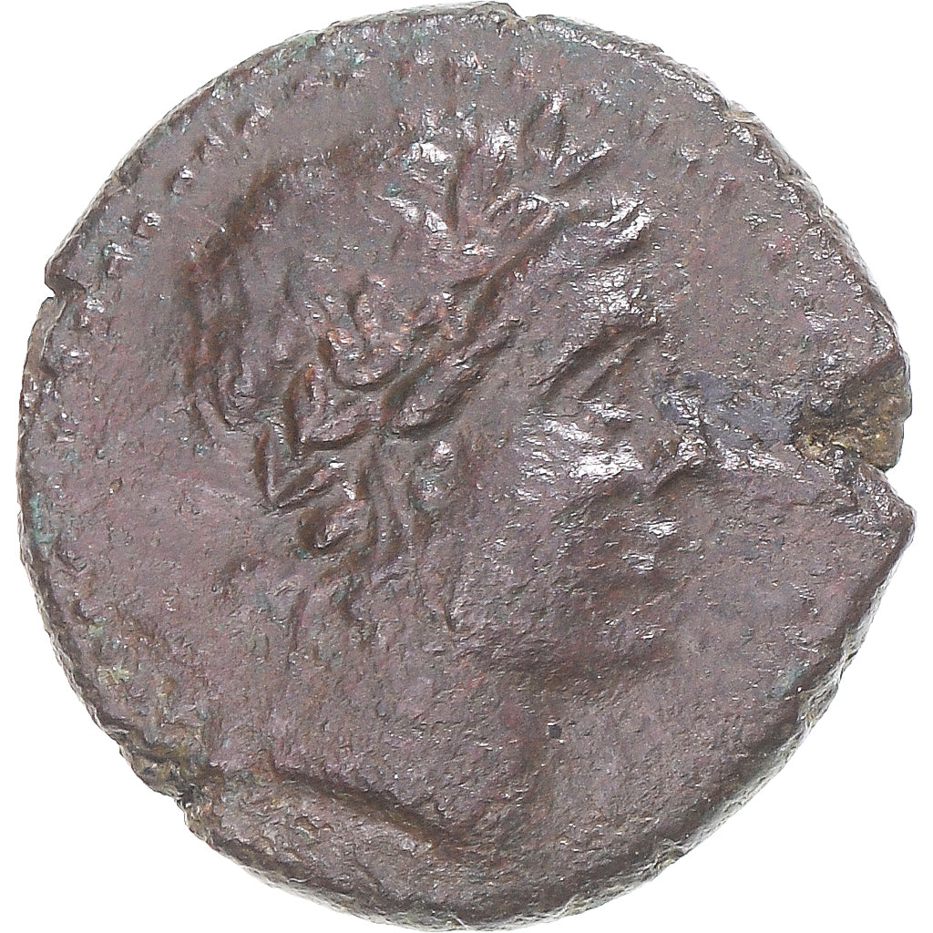 Munten, Bruttium, Æ, late 3rd century BC, Petelia, ZF+, Bronzen, HN Italy:2455
