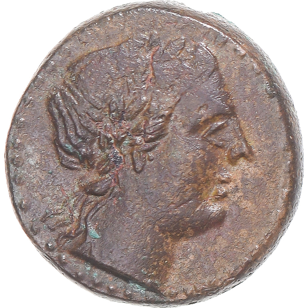 Munten, Bruttium, Æ, late 3rd century BC, Petelia, ZF+, Bronzen, HN Italy:2455