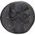Moneda, Antoninus Pius, As, BC, Bronce