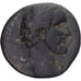 Moneda, Antoninus Pius, As, BC, Bronce