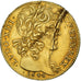 France, Louis XIII, Double louis d'or aux 8L, 1640, Paris, Flan endommagé, Or