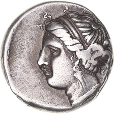 Monnaie, Campania, Didrachme, ca. 275-250 BC, Neapolis, TTB, Argent, HGC:1-454