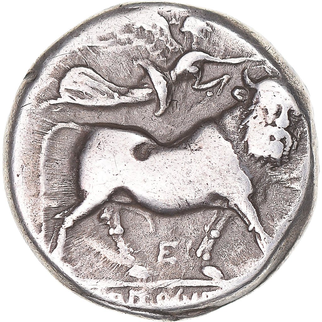 Moneta, Campania, Didrachm, ca. 275-250 BC, Neapolis, BB, Argento, HGC:1-454