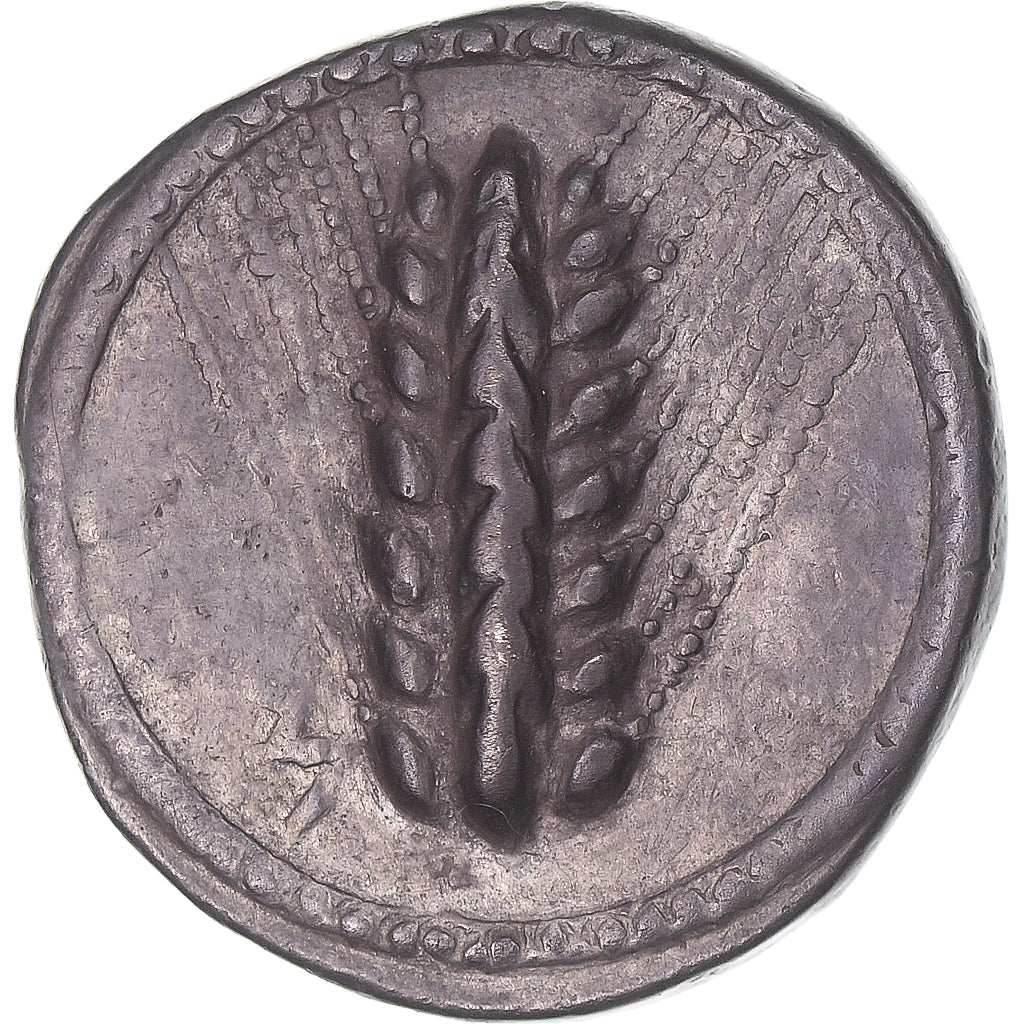 Moneta, Lucania, Stater, ca. 510-470 BC, Metapontion, BB+, Argento, HGC:1-1028