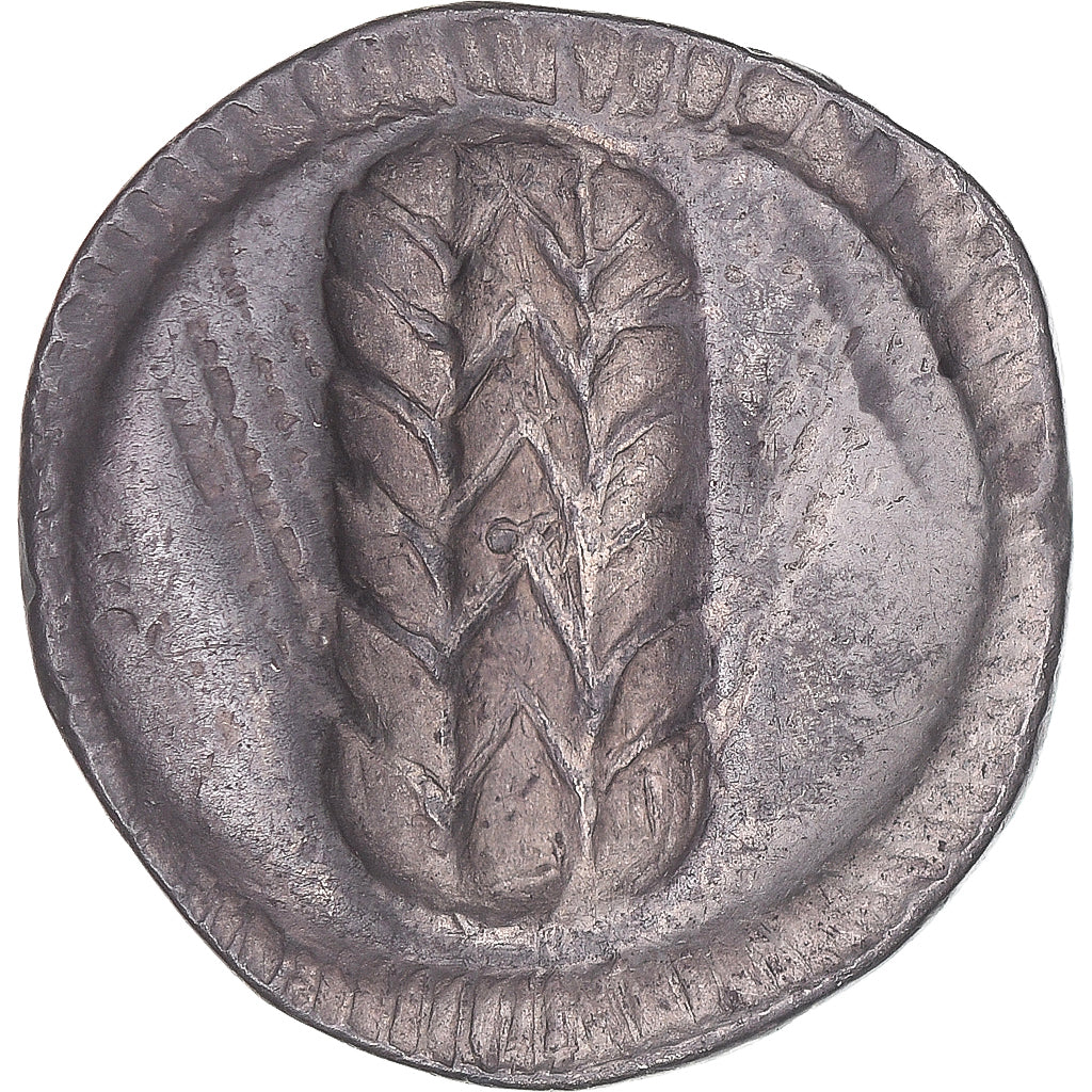Moneta, Lucania, Stater, ca. 510-470 BC, Metapontion, BB+, Argento, HGC:1-1028