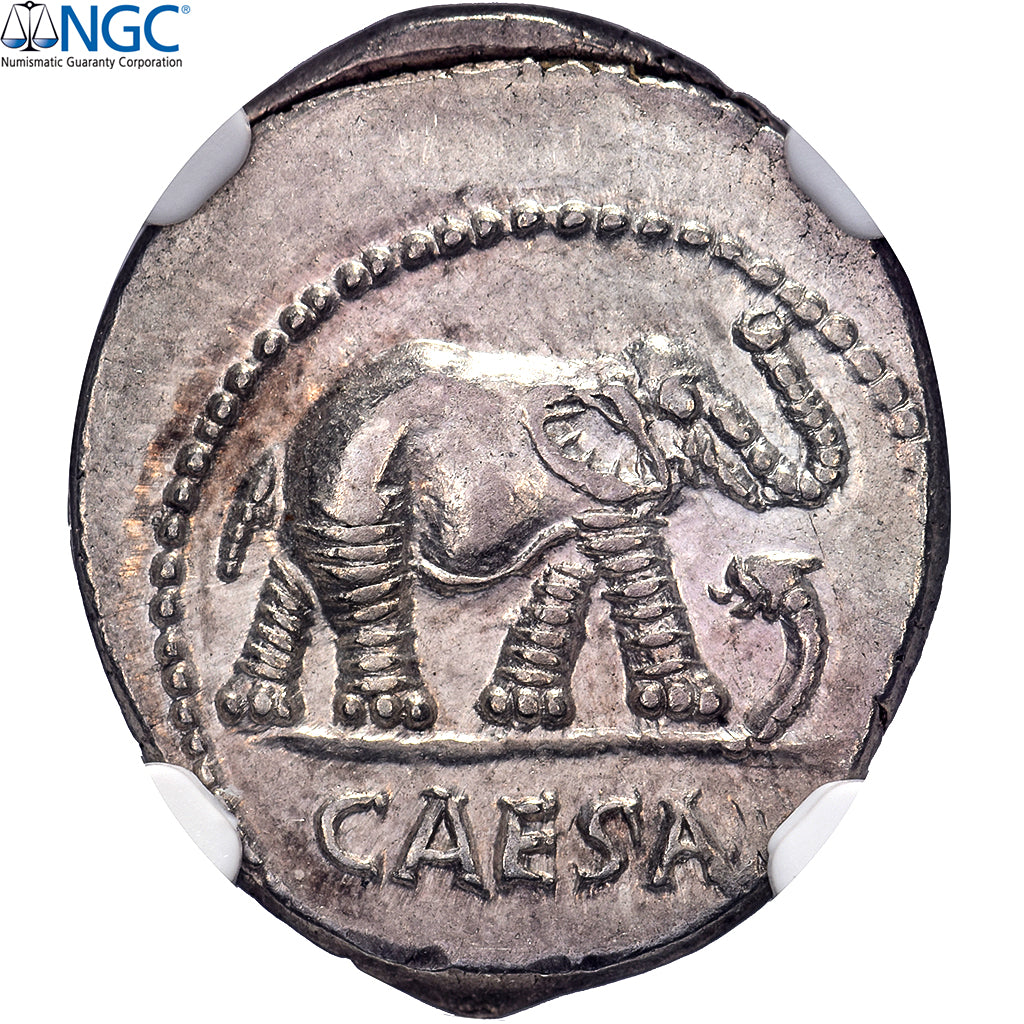 Julius Caesar, Denarius, 49-48 BC, Military mint, Silver, NGC, Ch AU 4/5-5/5