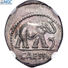 Julius Caesar, Denarius, 49-48 BC, Military mint, Prata, NGC, Ch AU 4/5-5/5