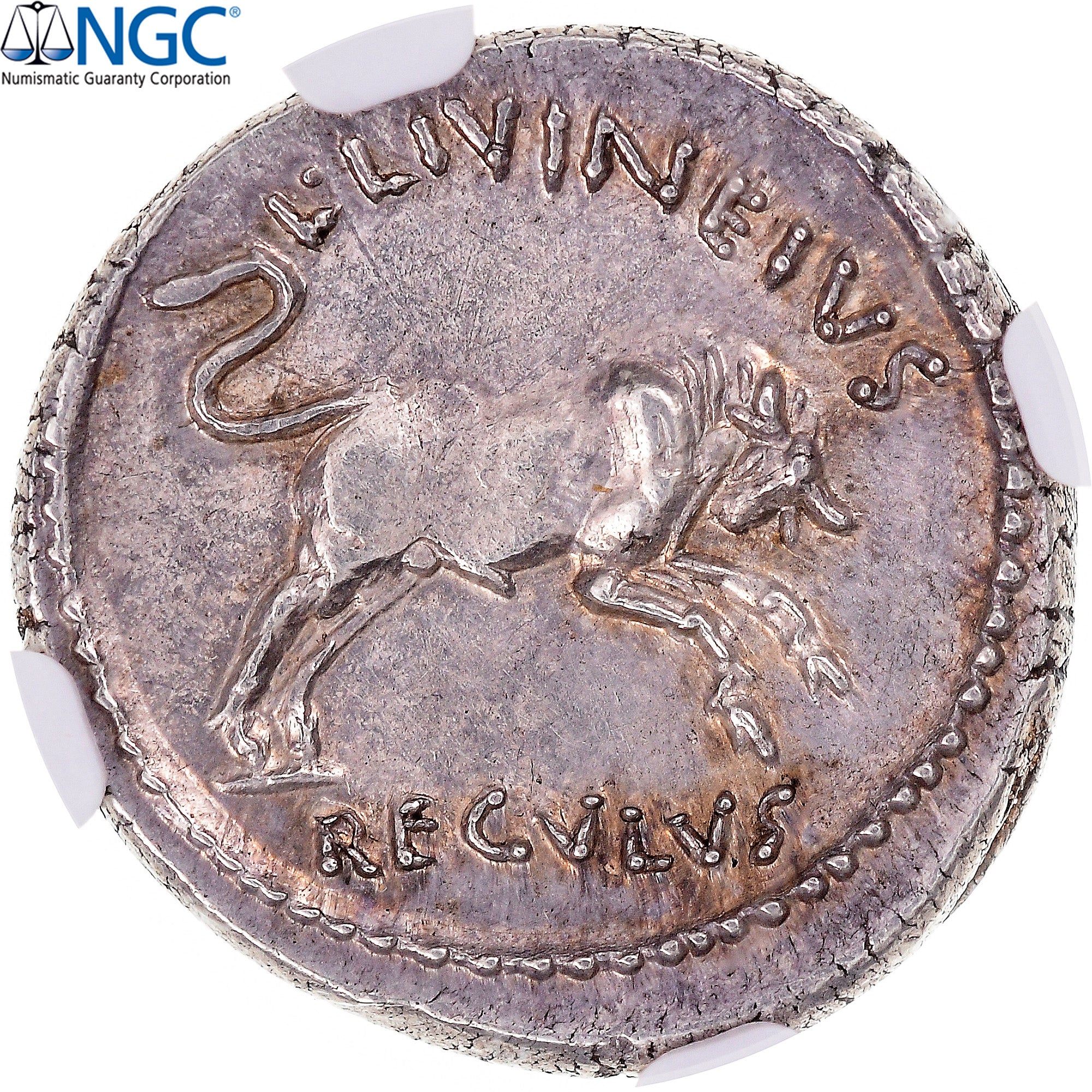 Divus Julius Caesar, Denarius, 42 BC, Rome, Silver, NGC, Ch AU 3/5-4/5