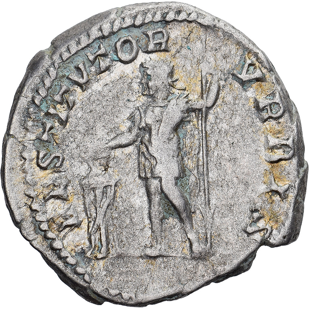 Moneda, Septimius Severus, Denarius, 201, Rome, BC+, Plata, RIC:167a