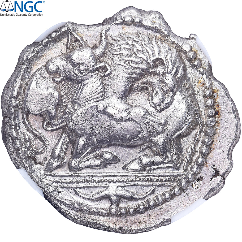 Macedonia, Tetradrachm, ca. 470-430 BC, Akanthos, Argento, SPL-, HGC:3.1-384