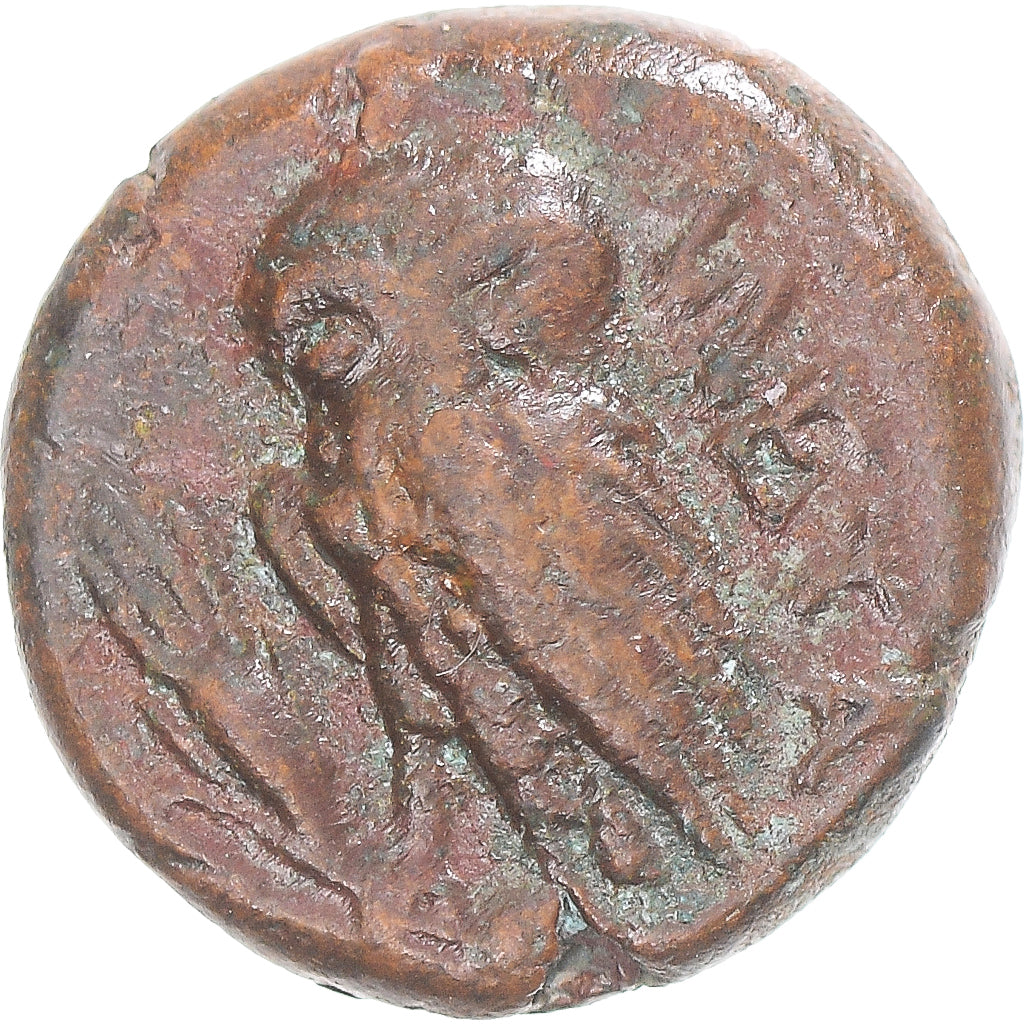 Munten, Lucanië, Æ, ca. 300-250 BC, Metapontion, ZF, Bronzen, HN Italy:1704