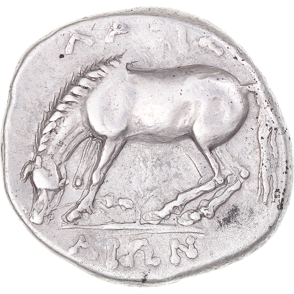 Thessaly, Drachm, ca. 356-320 BC, Larissa, Silver, EF(40-45), HGC:4-452