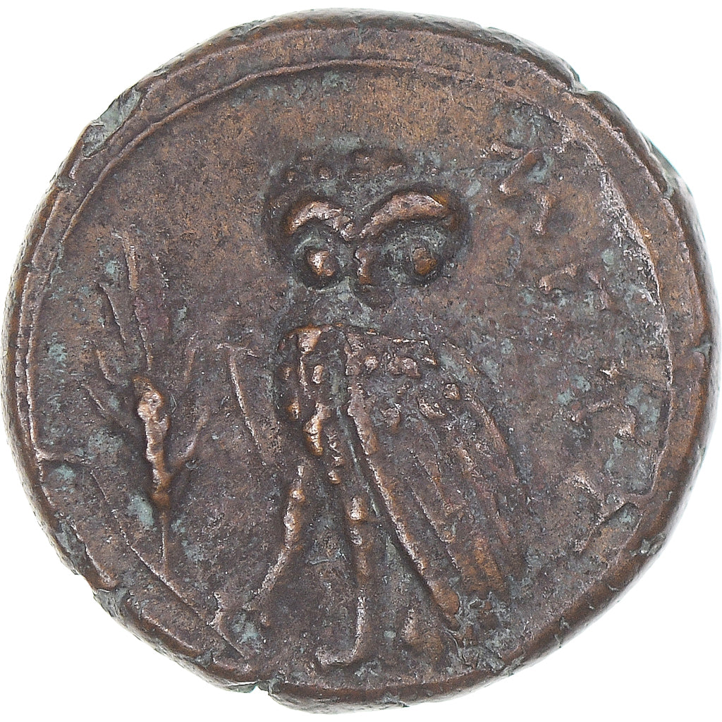Moeda, Lucânia, Æ, ca. 300-250 BC, Metapontion, VF(30-35), Bronze, HN