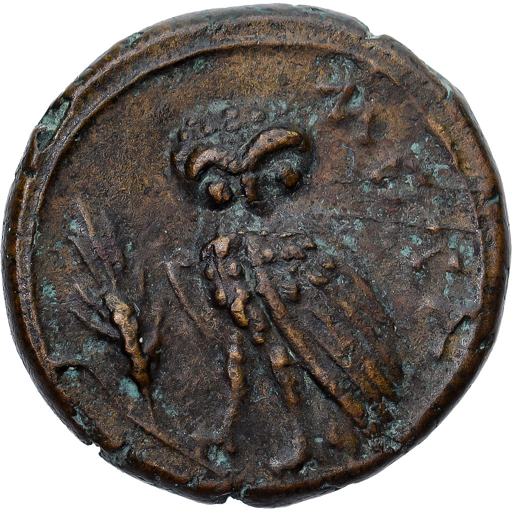 Monnaie, Lucanie, Æ, ca. 300-250 BC, Metapontion, TB+, Bronze, HN Italy:1704